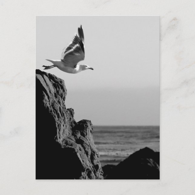 Carte Postale Départ de Seagull (Devant)