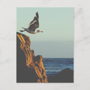 Carte Postale Départ de Seagull