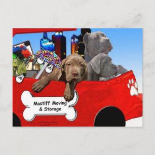 Carte Postale Déplacement et stockage Mastiff
