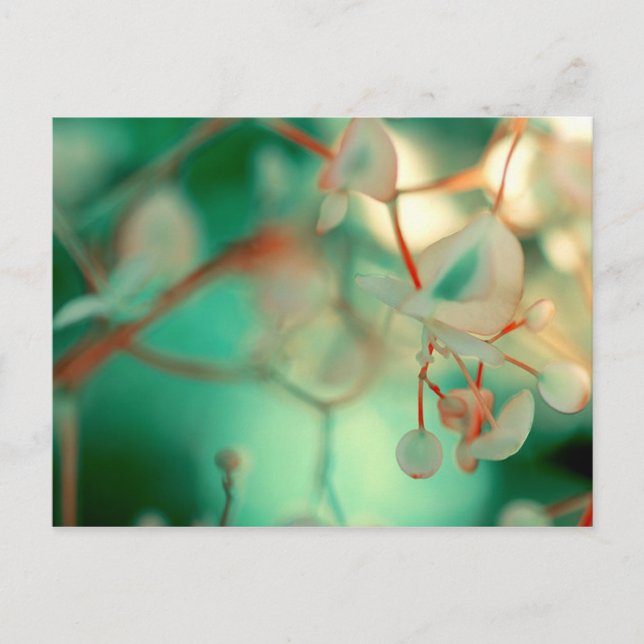 Carte Postale Déposer (Devant)