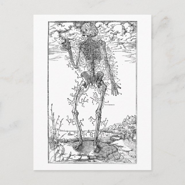 Carte Postale Dernier Nerf - Squelette d'Halloween (Devant)