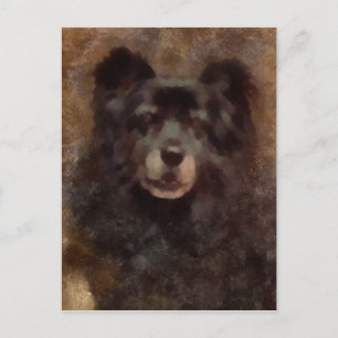 Carte Postale Dernier portrait de yogis