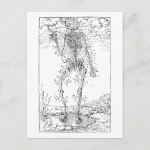 Carte Postale Dernière Nerve - Halloween Squelette