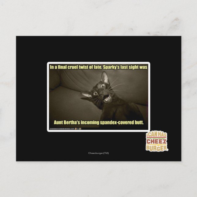 Carte Postale Dernière vue Sparky (Devant)