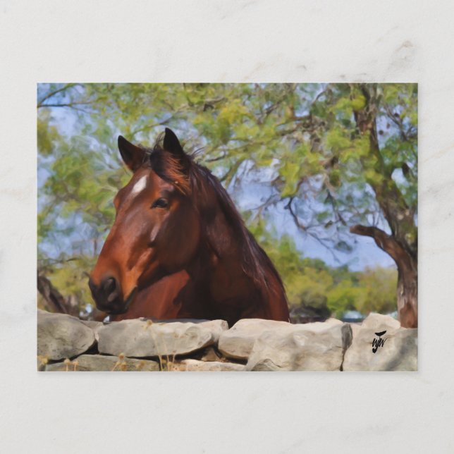 Carte Postale Derrière le mur (Devant)