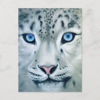 Carte Postale Derrière les yeux bleus - léopard des neiges