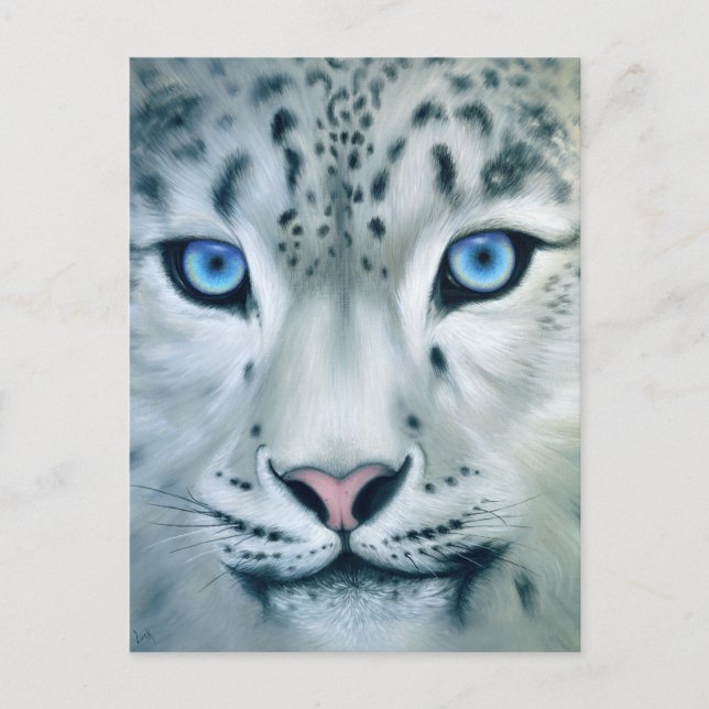 Carte Postale Derrière les yeux bleus - léopard des neiges (Devant)