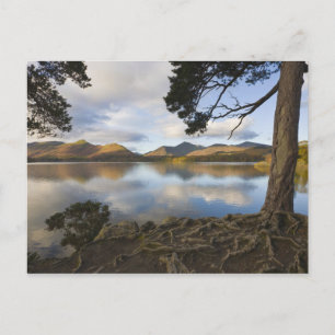 Carte Postale Derwentwater, District des lacs, Cumbria, Angleter