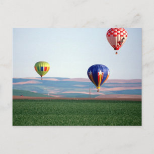 Carte Postale Des ballons à air chaud colorés flottent au-dessus