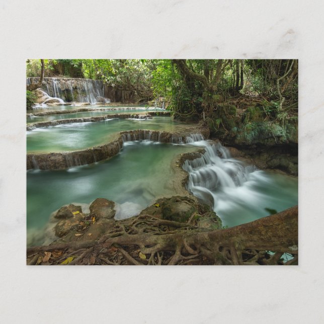 Carte postale des bassins de la cascade de la forê (Devant)