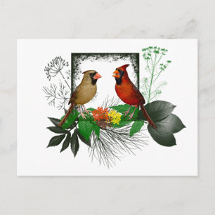 Carte postale des Cardinals