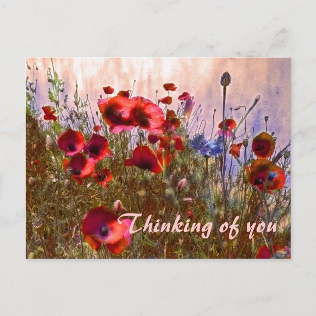 Carte Postale Des coquelicots arty ! (Devant)