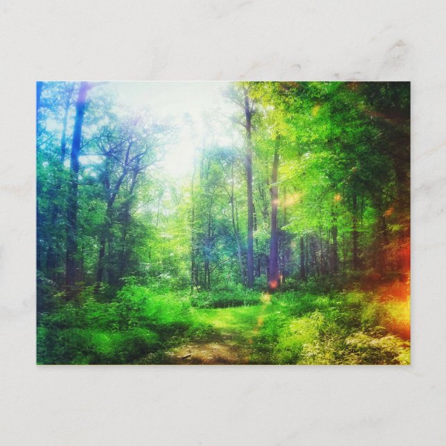 CARTE POSTALE DES COULEURS DE SOLEIL FORESTIER (Devant)
