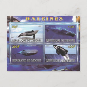 carte postale des dauphins de baleine