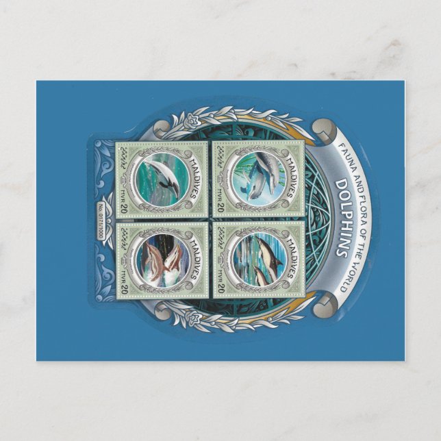 Carte postale des dauphins des Maldives (Devant)