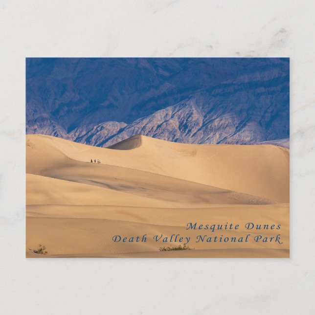 Carte postale des dunes de Mesquite Death Valley N (Devant)