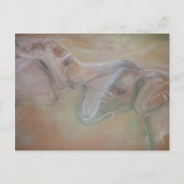 Carte postale des éléphants (Devant)