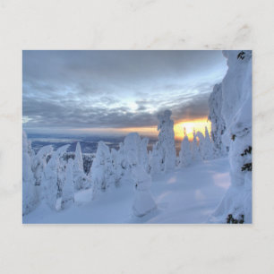 Carte Postale Des fantômes au coucher du soleil à Whitefish Moun