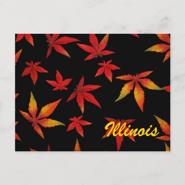 Carte postale des feuilles d'automne de l'Illinois (Devant)