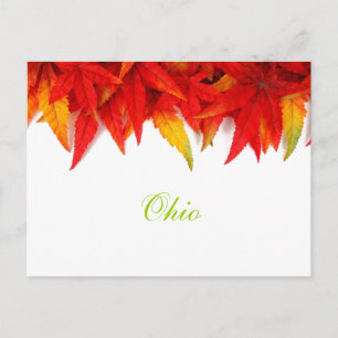 Carte postale des feuilles d'automne de l'Ohio