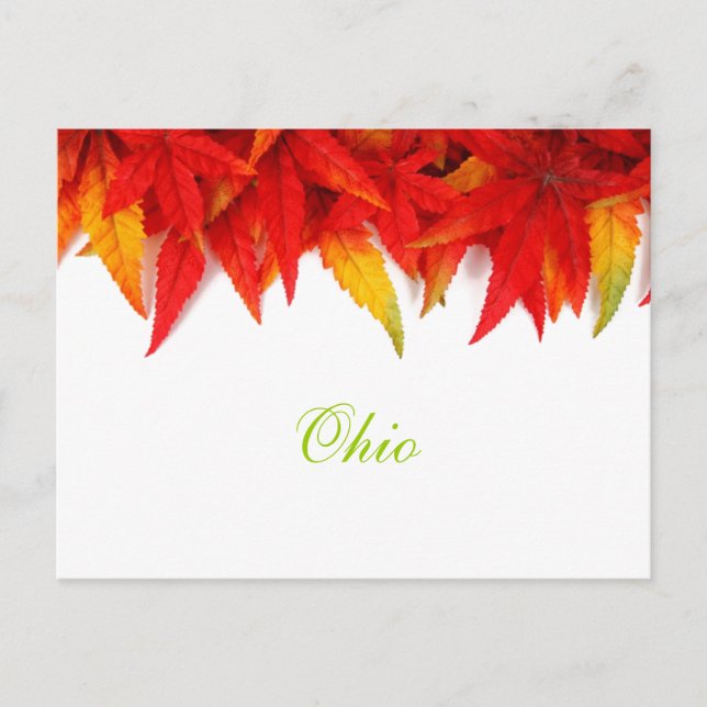 Carte postale des feuilles d'automne de l'Ohio (Devant)