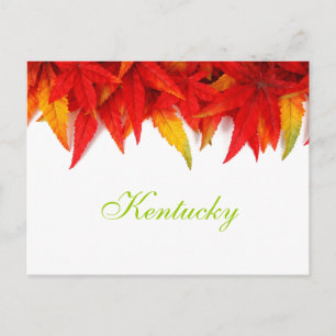 Carte postale des feuilles d'automne du Kentucky