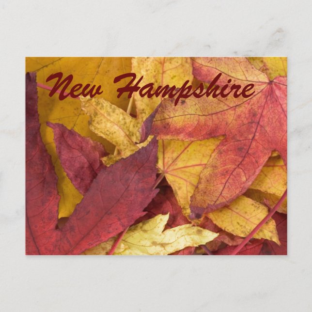 Carte postale des feuilles d'automne du New Hampsh (Devant)