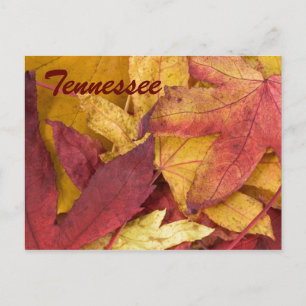 Carte postale des feuilles d'automne du Tennessee