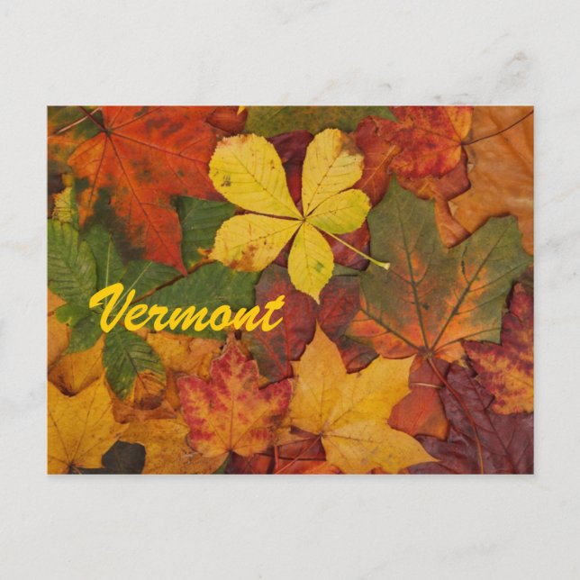 Carte postale des feuilles d'automne du Vermont (Devant)