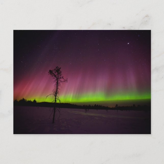 Carte postale des feux du Nord (Devant)