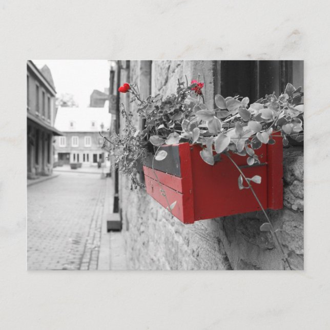 Carte Postale Des fleurs à Montréal (Devant)