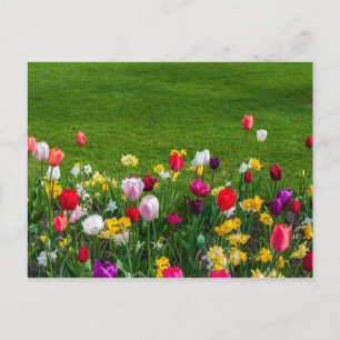 Carte postale des fleurs du printemps