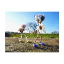 Des fubby dans la nature avec des madélifes.