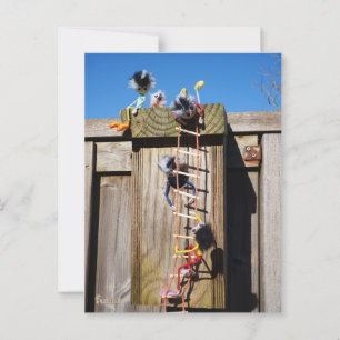 Carte Postale Des fubby qui grimpent dans une maison d'oiseaux.