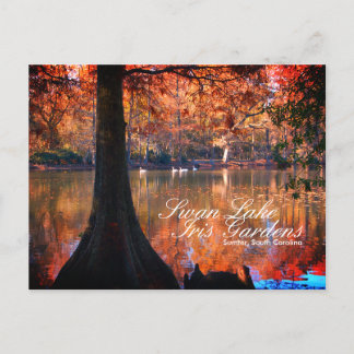 Carte postale des jardins du lac aux cygnes Iris