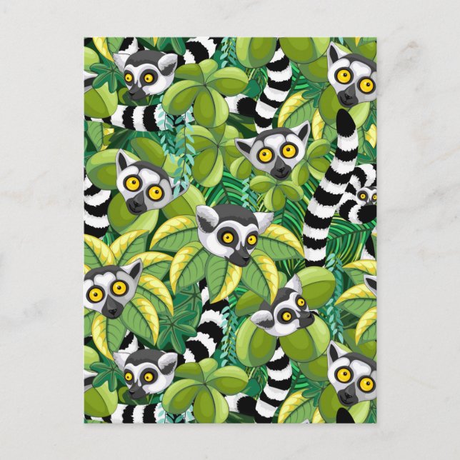 Carte Postale Des lémuriens de Madagascar dans la jungle exotiqu (Devant)