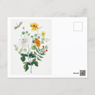 Carte Postale Des libellules et de belles fleurs colorées.