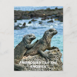 Carte postale des meilleurs amis