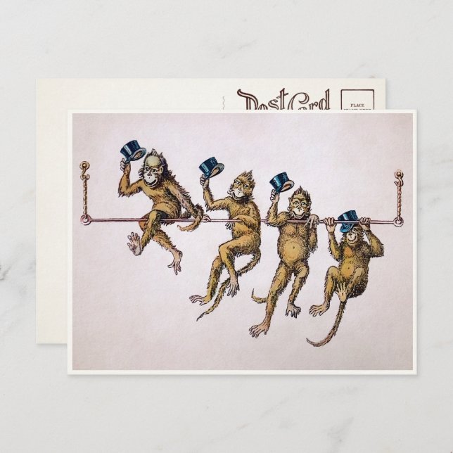 Carte postale des singes victoriens (Devant / Derrière)
