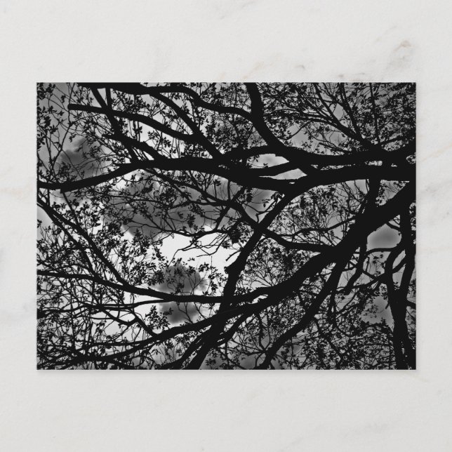 Carte postale des succursales (Devant)