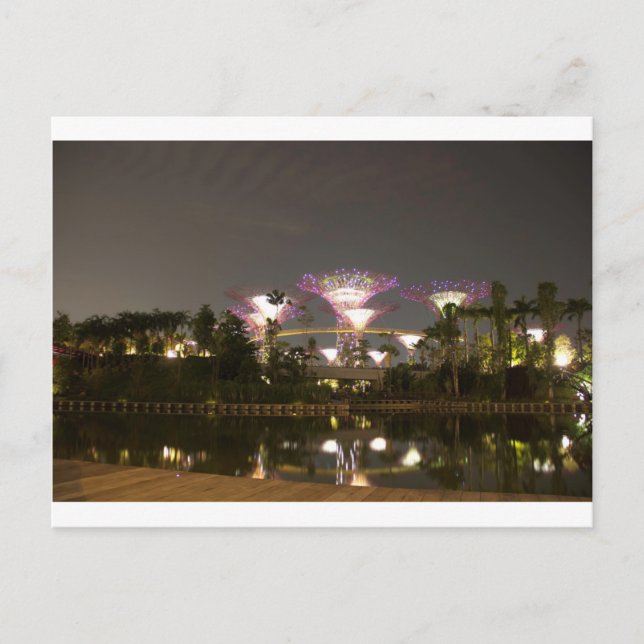 Carte Postale Des super arbres éclairés à Gardens by the Bay (Devant)
