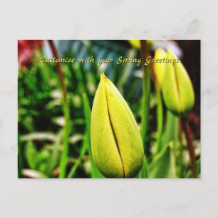 Carte postale des voeux du printemps Tulipes jaune