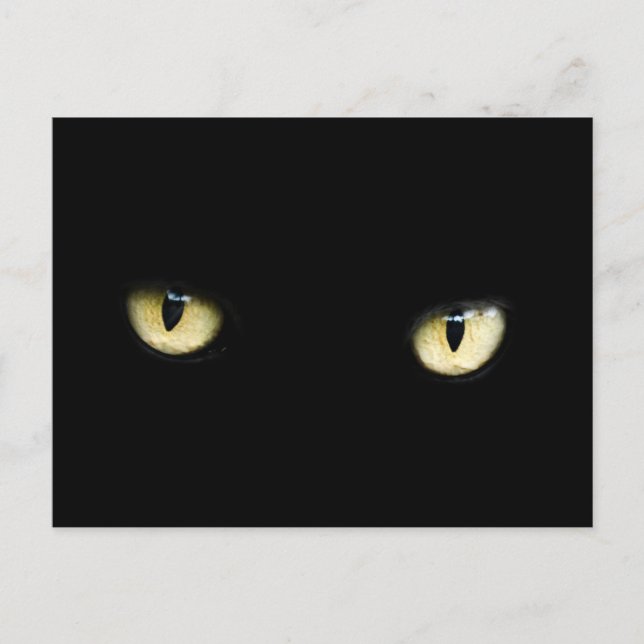carte postale des yeux de chat noir (Devant)