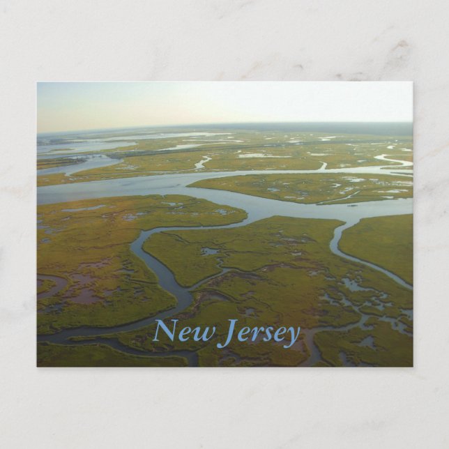 Carte postale des zones humides du New Jersey (Devant)