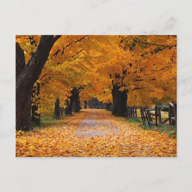 Carte Postale Descendre la voie de la mémoire de l'automne (Devant)