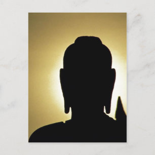 Carte Postale Description : Coucher de soleil dans le parc histo