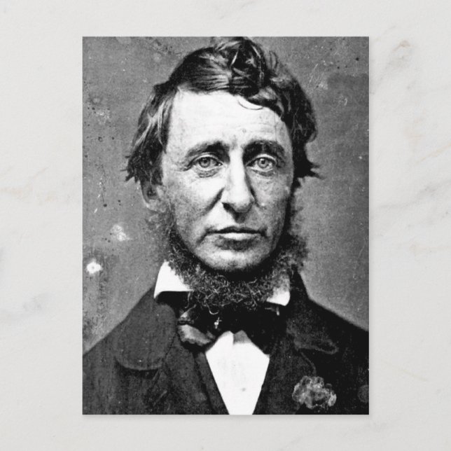 Carte Postale Description Henry David Thoreau (1817-1862) en jui (Devant)