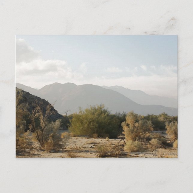 Carte Postale Désert de Californie (Devant)
