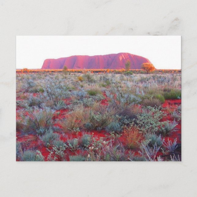 Carte Postale désert de uluru (Devant)