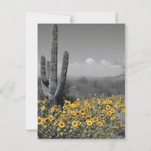 Carte Postale Désert du Sud-Ouest Saguaro Cactus et tournesols
